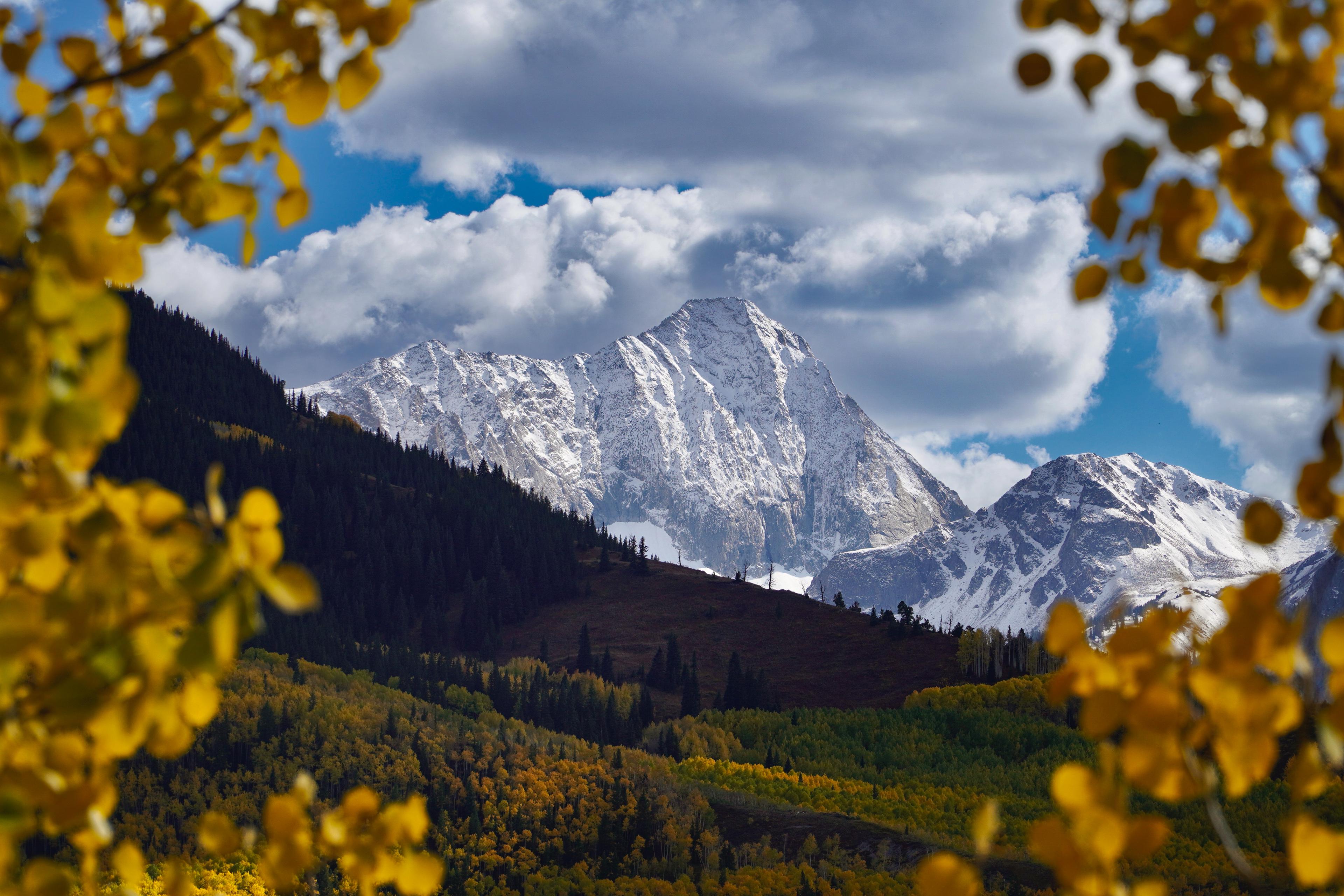 Looking through fall colors towards Capitol Peak in Aspen, Colorado.